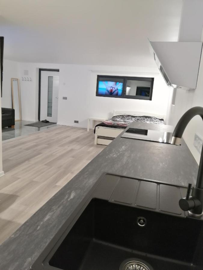 Luxury Apartment Private House And Parking Netflix Тарту Екстериор снимка